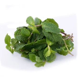 Hierba Buena Don Memo