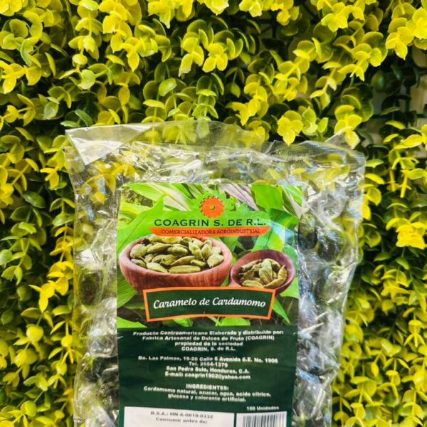 WhatsApp Image 2026-01-20 at 3.16.34 PM-2