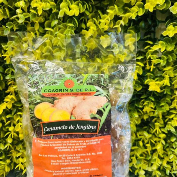 WhatsApp Image 2026-01-20 at 3.16.34 PM